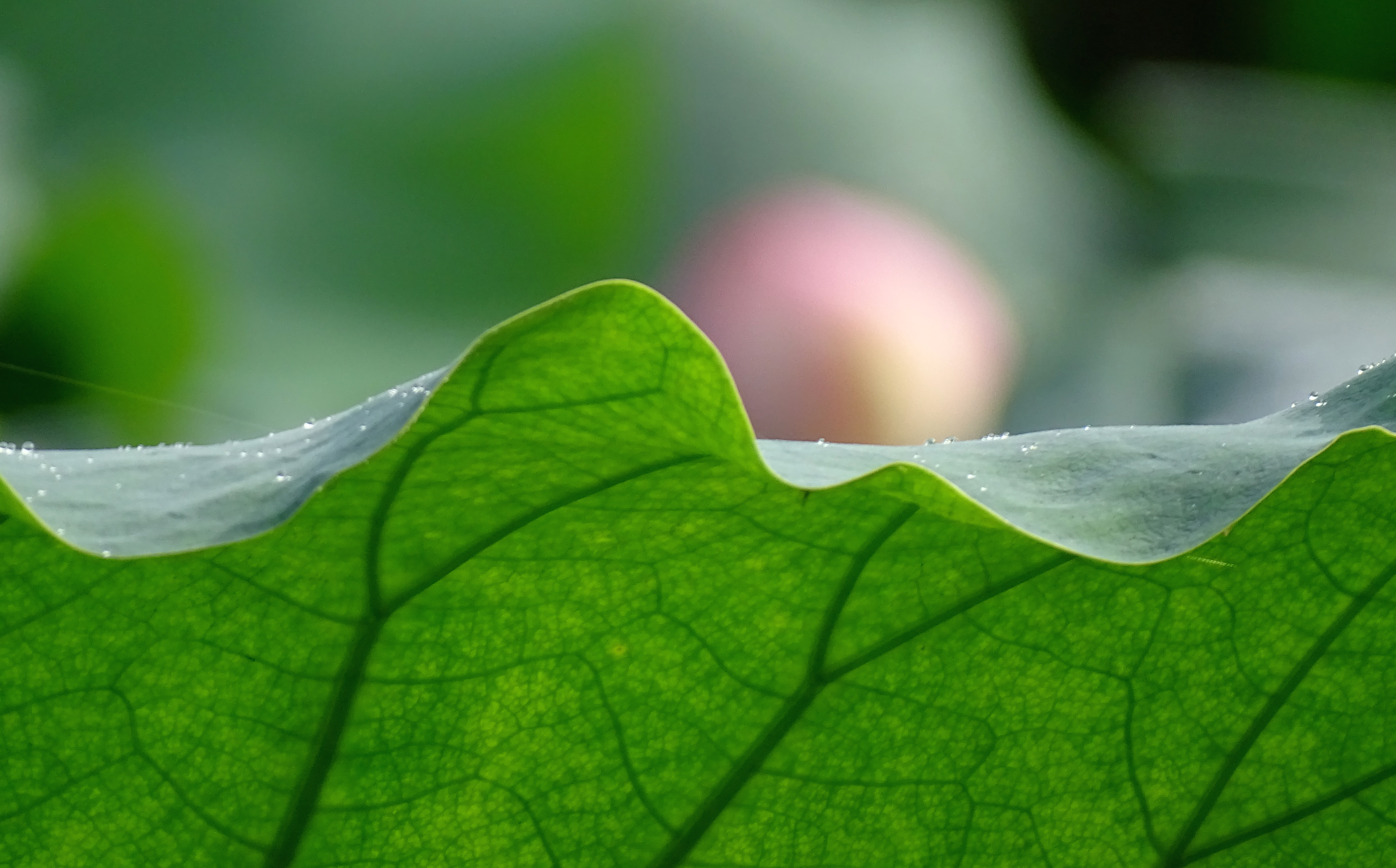 索尼dsc-hx400拍飞机效果,索尼dsc-hx400照片调色