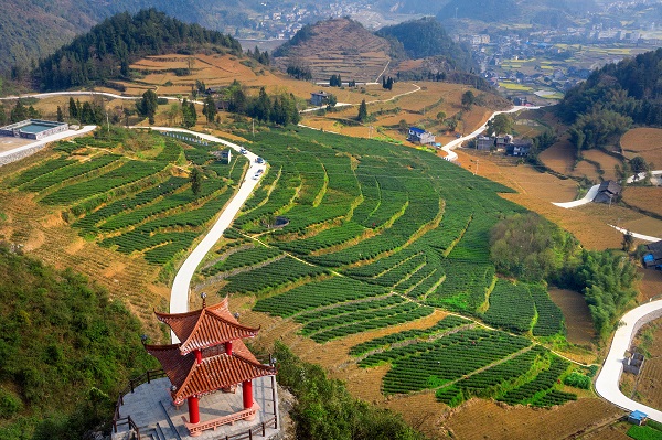 秀山电商赋能乡村振兴新路,秀山农村电商助力脱贫增收