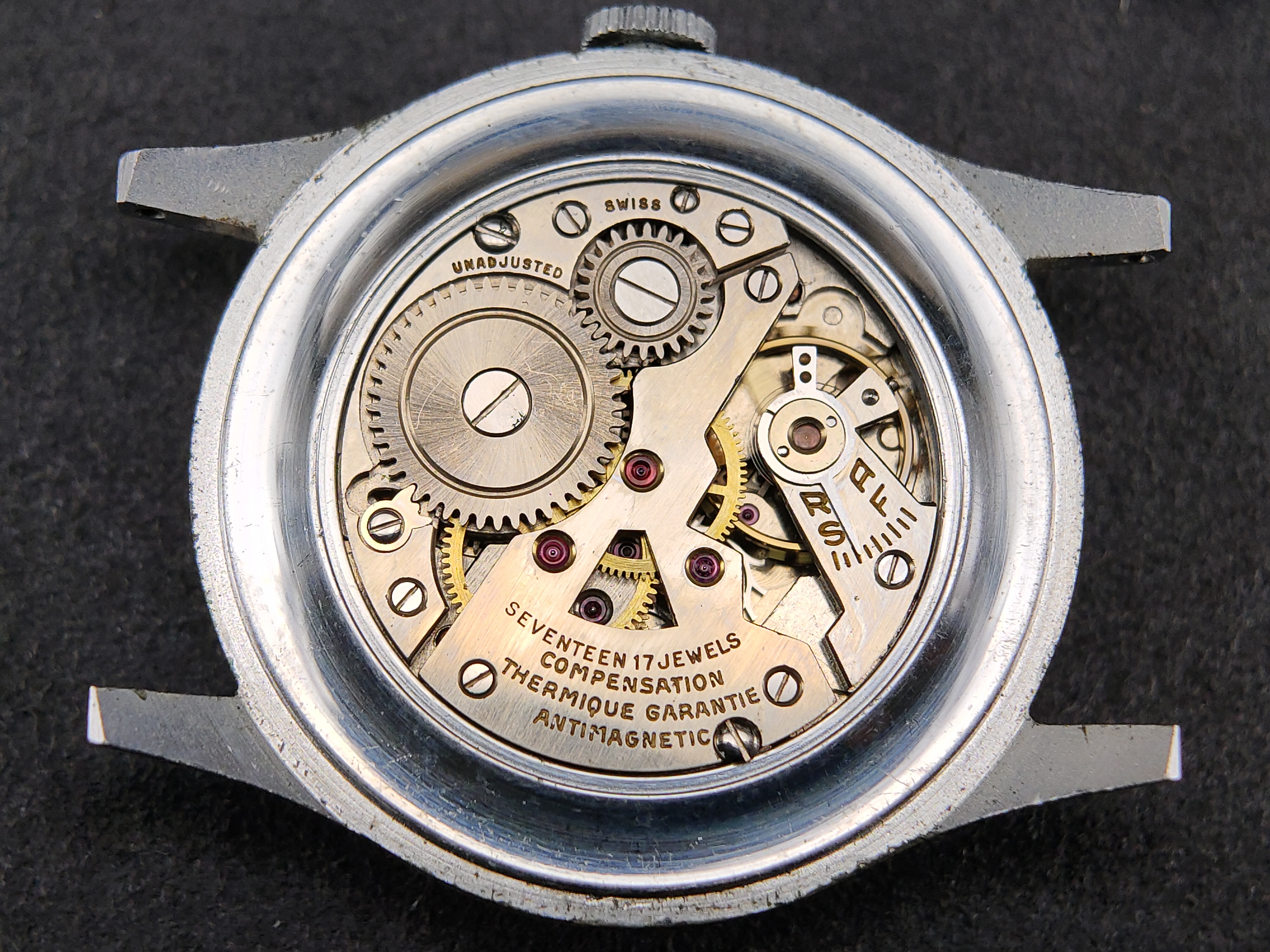 因为一条鱼爱上一个人,因一条鱼丢了一条命