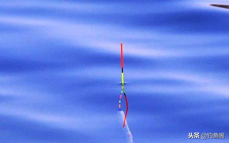 野钓老是脱钩用什么类型的鱼钩,野钓时常有鱼脱钩的原因是什么