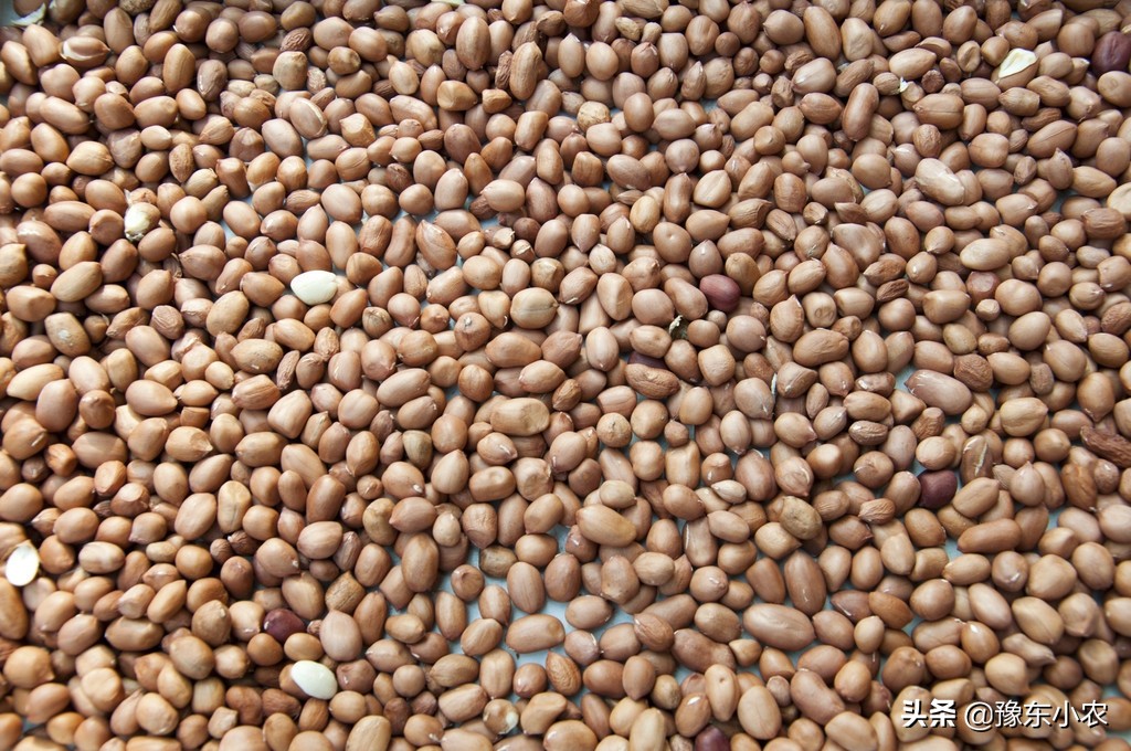 鑺辩敓缂鸿嫍鏂瀯鍥剧墖,鑺辩敓缂鸿嫍鏂瀯鎬庝箞琛ユ晳