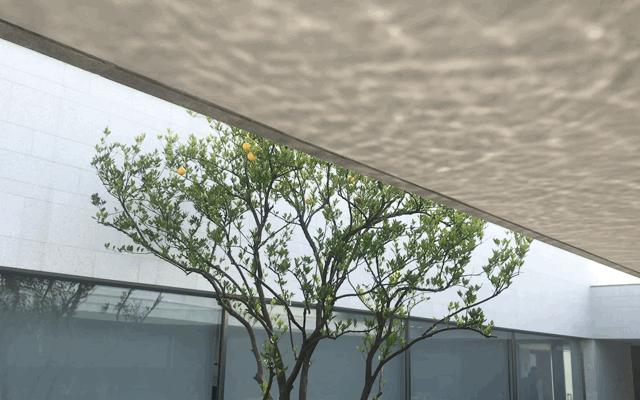 乌镇7月居轻奢酒店,乌镇阿丽拉酒店什么价格