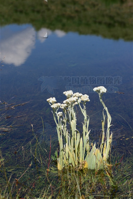 涔崇櫧棣欓潚,涔崇櫧娣￠粍棣欓潚