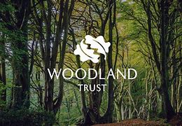 2020浙江绍兴中考英语,2021年绍兴英语中考试卷及答案