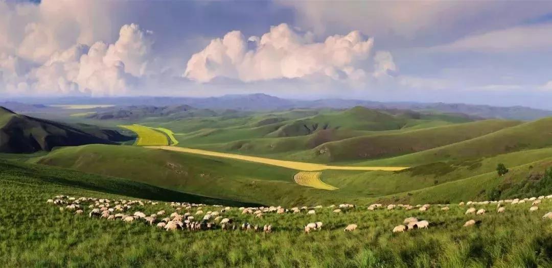 敖包相会的地方,敖包相会的地方通辽