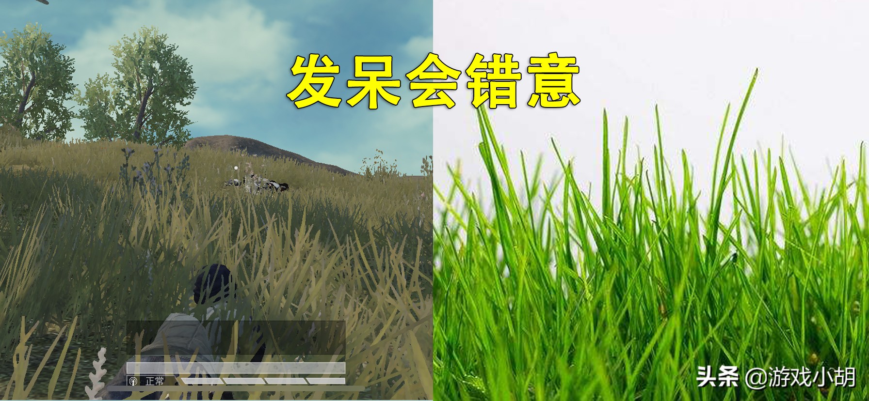 吃鸡玩游戏看c盘吗,吃鸡游戏大家都不打枪会怎样