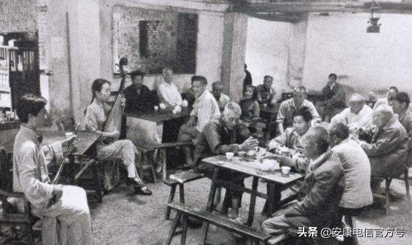 安康紫阳富硒毛尖,紫阳毛尖特别香