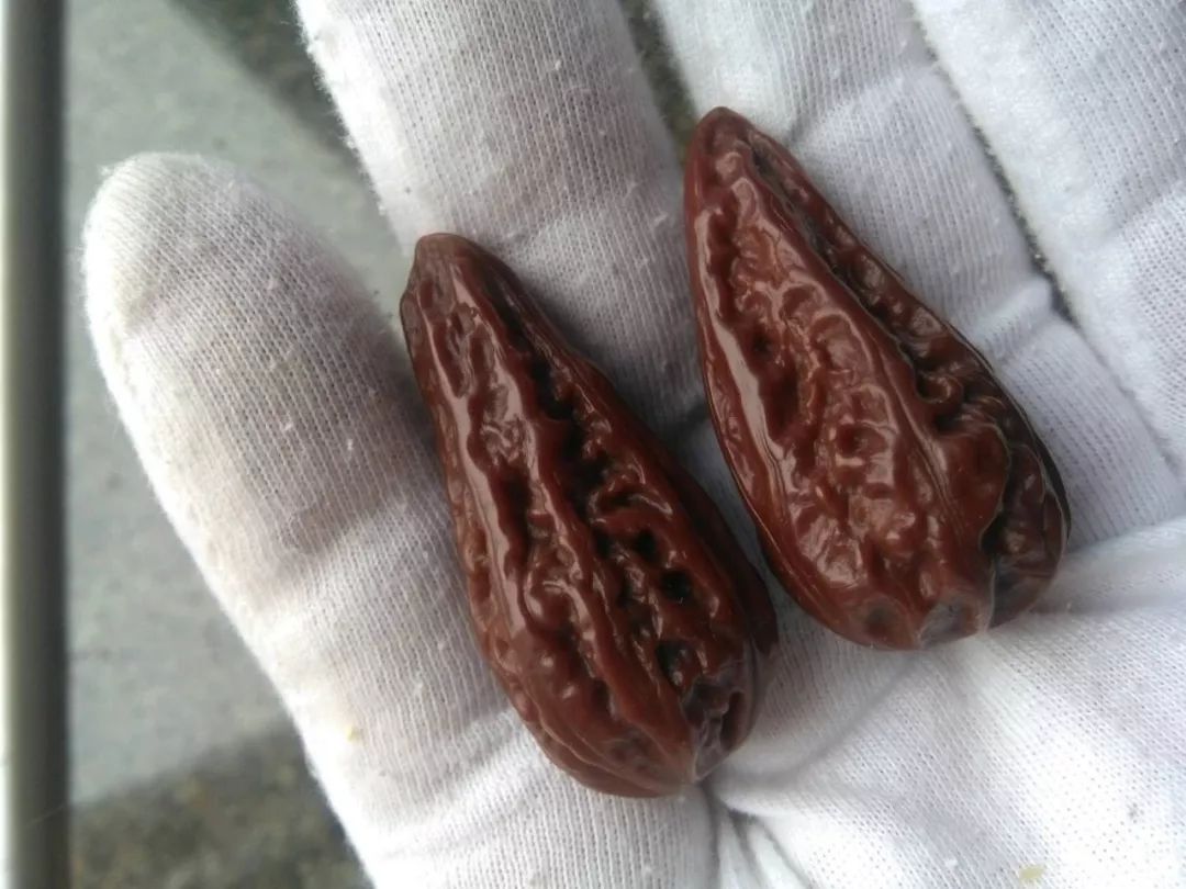 什么品种的核桃玉化包浆更快,文玩核桃盘多久才会玉化