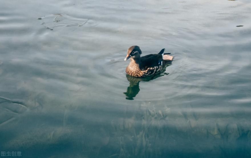 剪映蒙版开关门教程,剪映入门教程蒙版