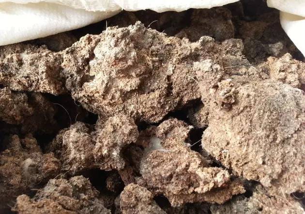 活了大半辈子，才知道粪肥这么用！