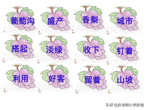 二年级上册语文11葡萄沟教案设计,二年级葡萄沟课文教学分析与总结