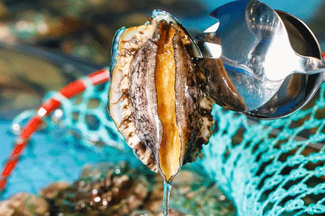 帝王蟹自助在哪里吃比较好,帝王蟹随便吃后续