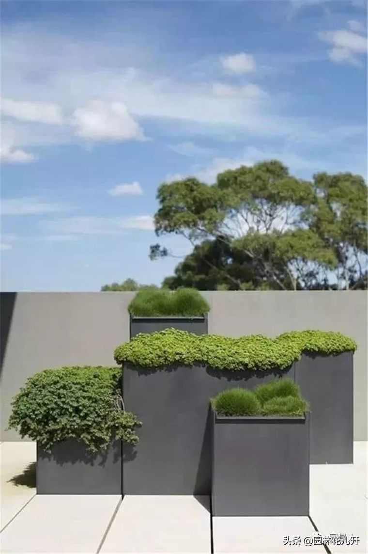 阳台花箱景观设计,景观花架花箱设计