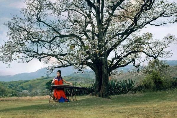 王中山老师告诉你为什么要学古筝,如何从零开始学好古筝