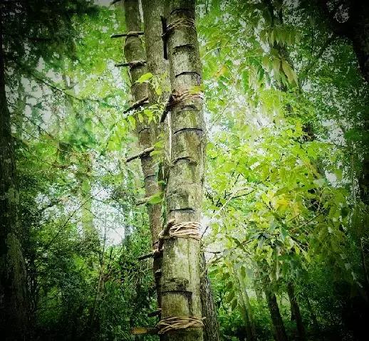 从设计师到漆艺家，他以慢对抗这世界的浮躁