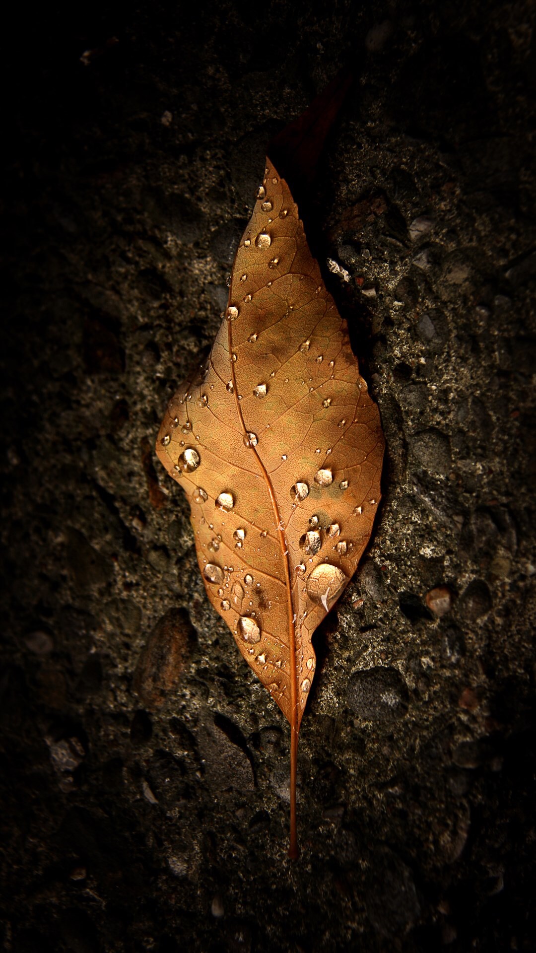 高端大气商务专用手机高清壁纸,特别高级曲面商务桌面壁纸图片