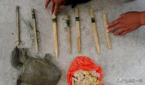 钓鱼竿钓甲鱼技巧,野外钓甲鱼王八的几个方法技巧