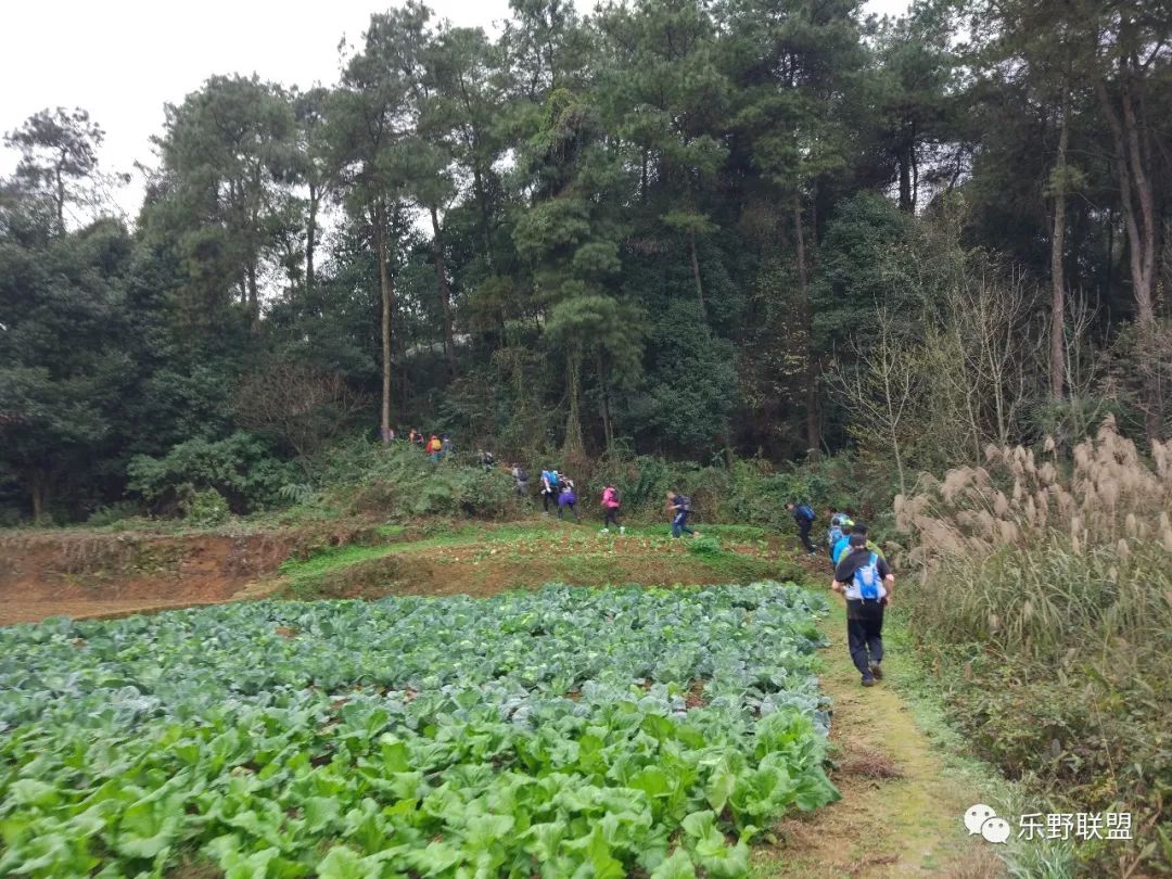 「乐野求生课」6月22重庆游龙山徒步越野报名