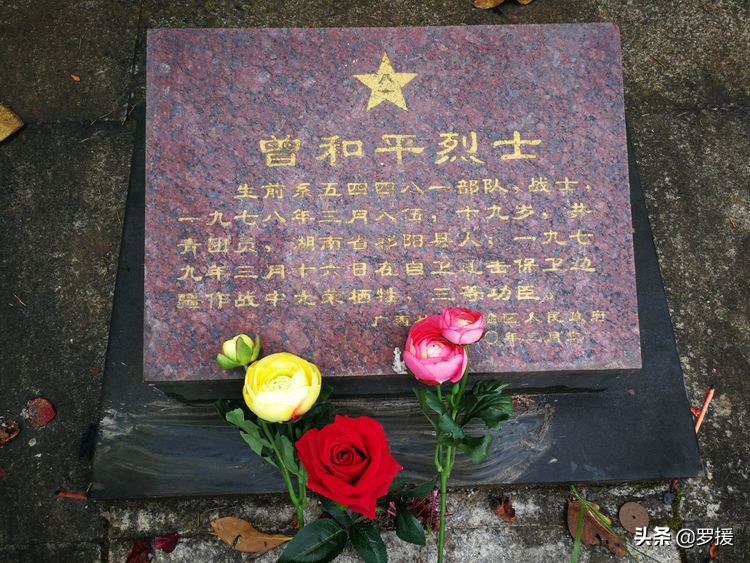 女兵亲历越南战役,女兵亲历反击战