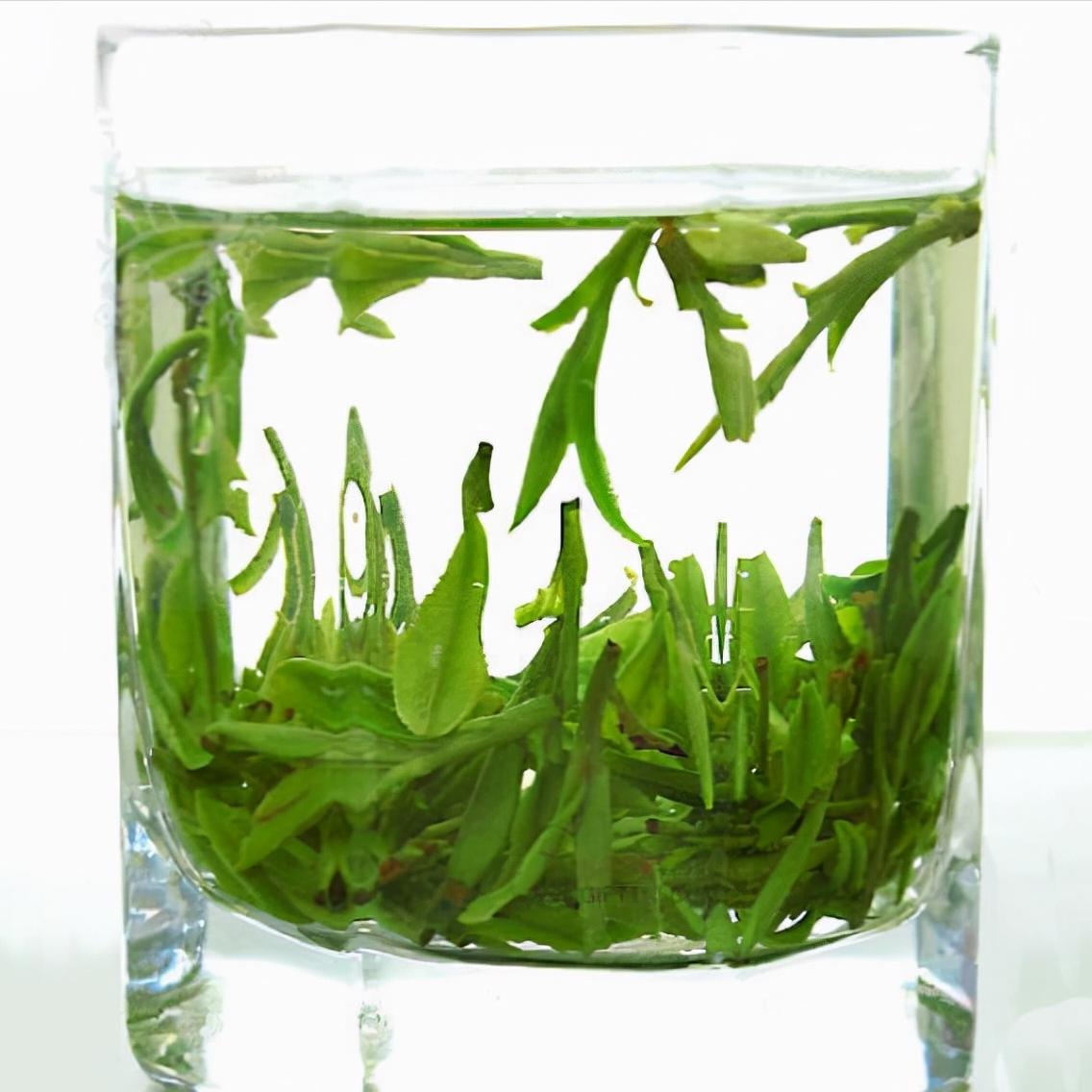 中国六大茶类代表名茶以及功效,中国六大茶类有哪些