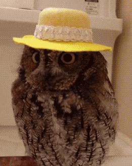 这个夏天值得入手的防晒喷雾,平价又好用的防晒推荐