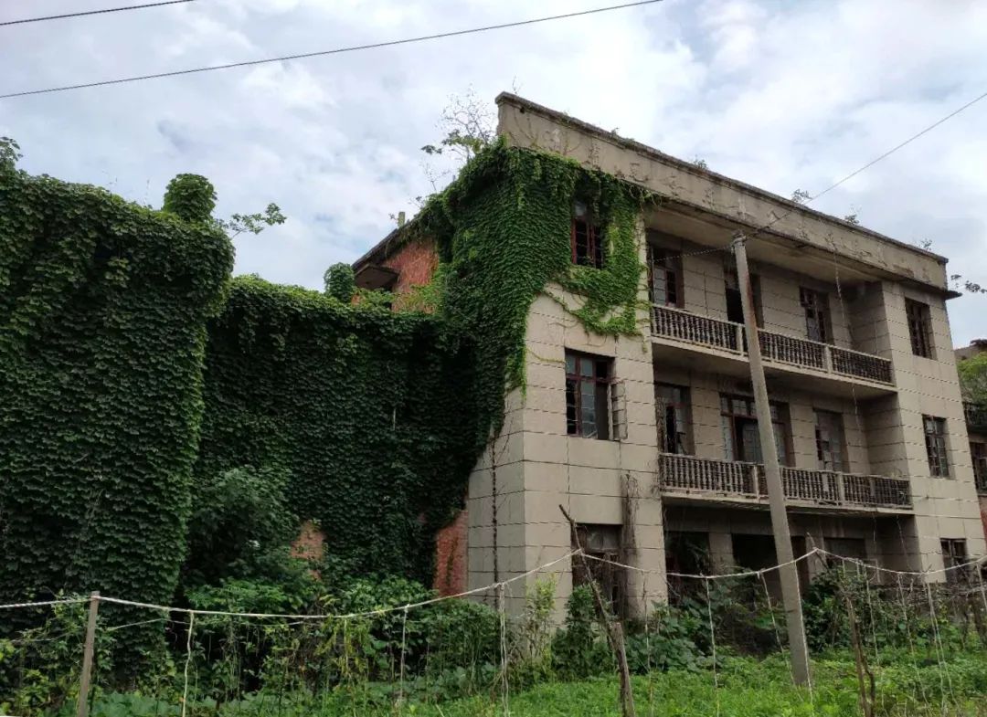 90年代白湖砖瓦厂,新华砖瓦厂