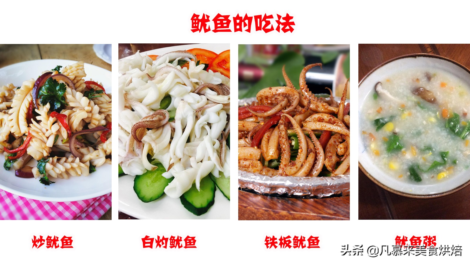 海兔墨鱼和八爪鱼哪个好吃,八爪鱼墨鱼鱿鱼海兔