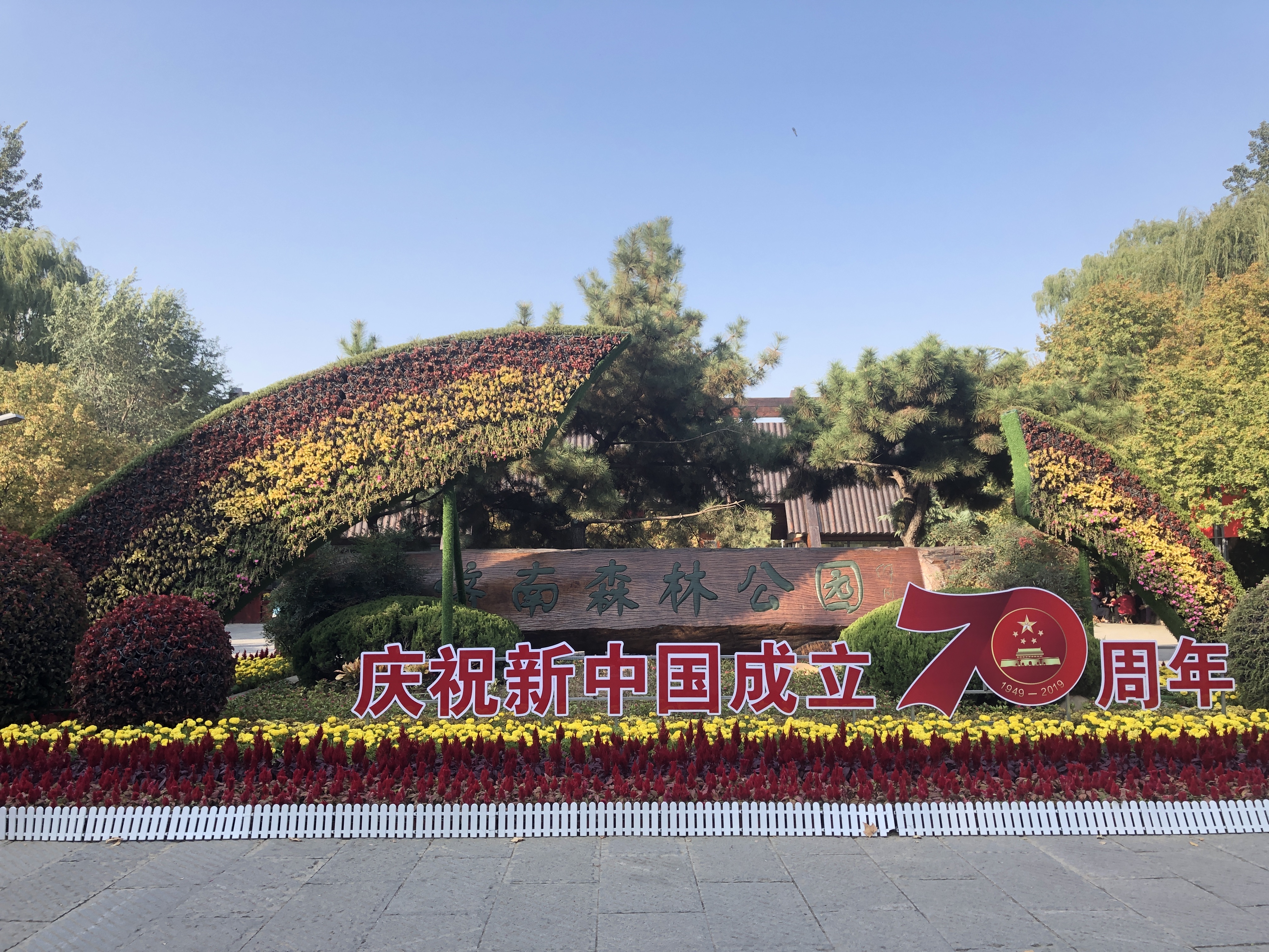 雨后的济南森林公园美景让人陶醉,济南森林公园美成“童话”