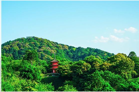 来到日本不能错过章鱼小丸子,来东京不能错过的地方