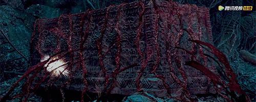 云南虫谷到底还播不播,云南虫谷今天能播么