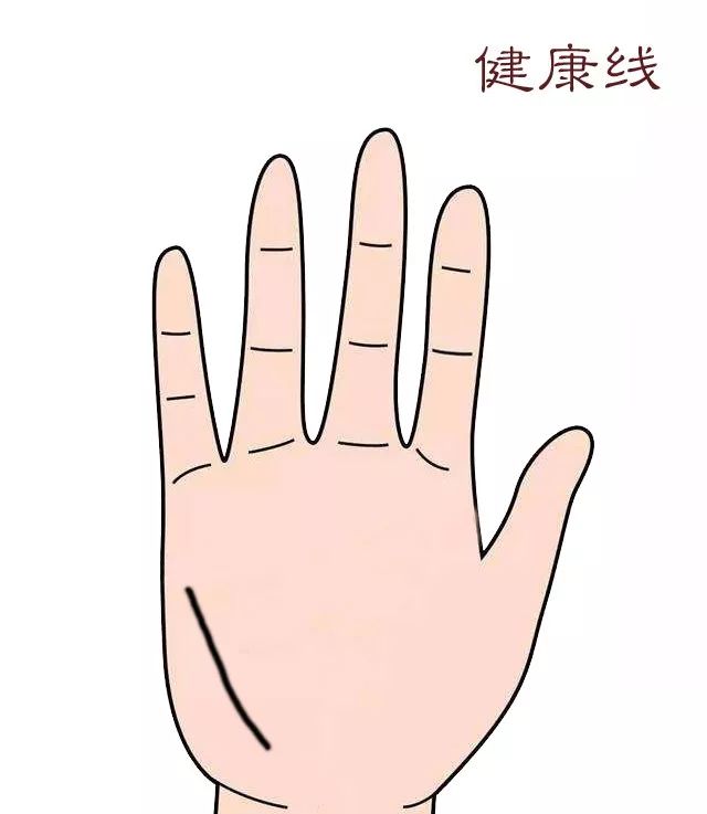 《三机论手》手掌上代表一个人运势的纹理，你都认识吗？