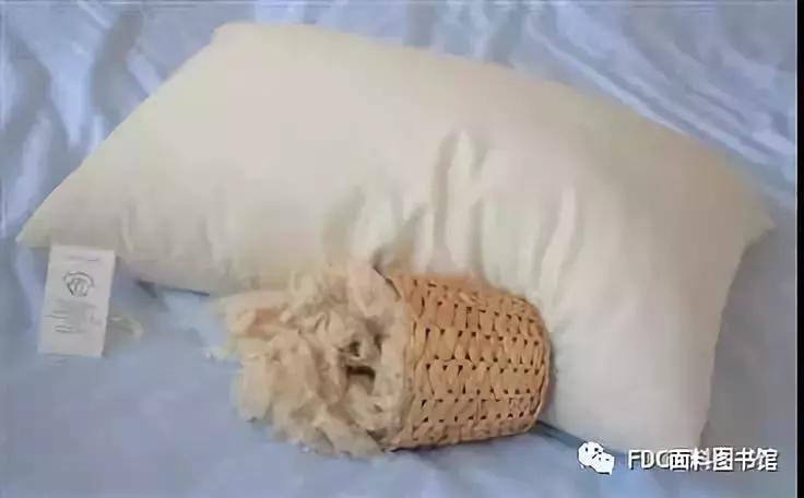 能用来制作面料的植物知多少？（下）