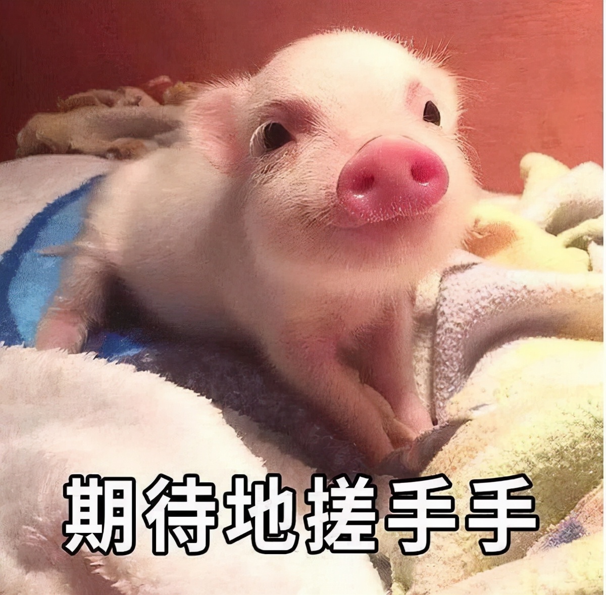 最让多汗人士尴尬的问题,一篇全解决