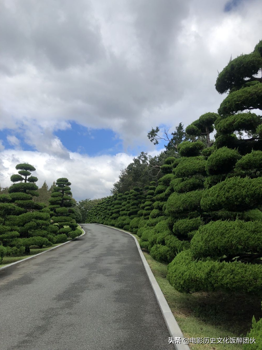 为什么在韩国街头看不到小朋友,韩国街头为什么没人抽烟