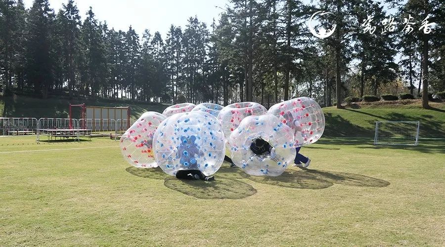 景德镇市二少年研学之旅,景德镇研学主题