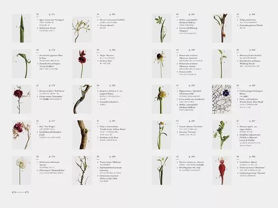 平面设计主要做什么容易学吗,平面设计哪个培训机构比较好