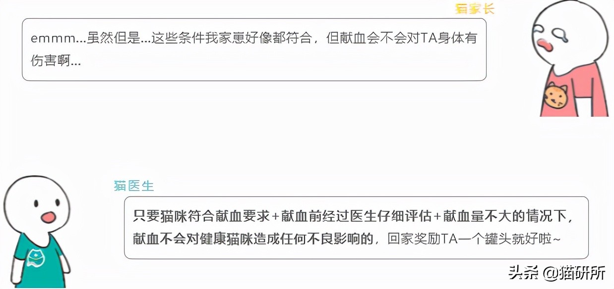 猫咪大部分是什么血型,猫咪的血型有哪几种