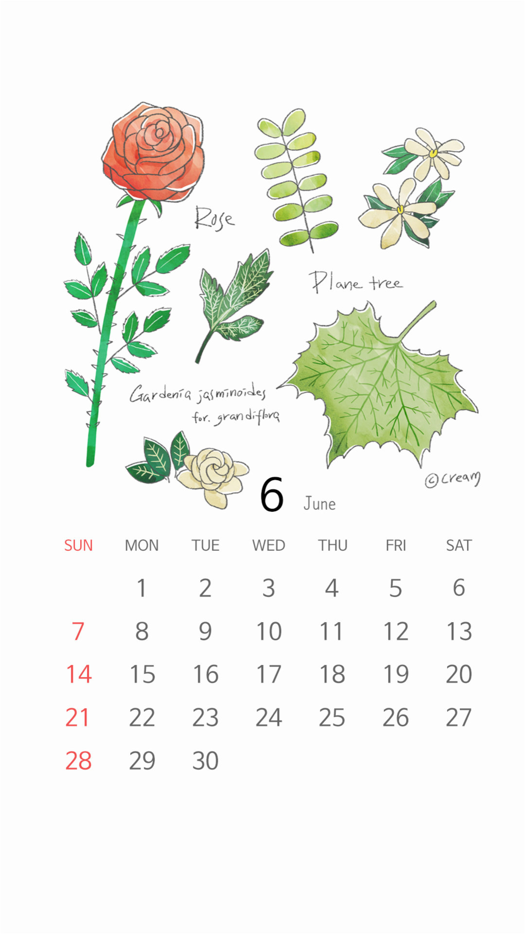 日历壁纸超清全屏,日历倒计时动态壁纸