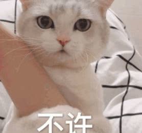 8款去闭口产品,大牌去闭口最好用的产品