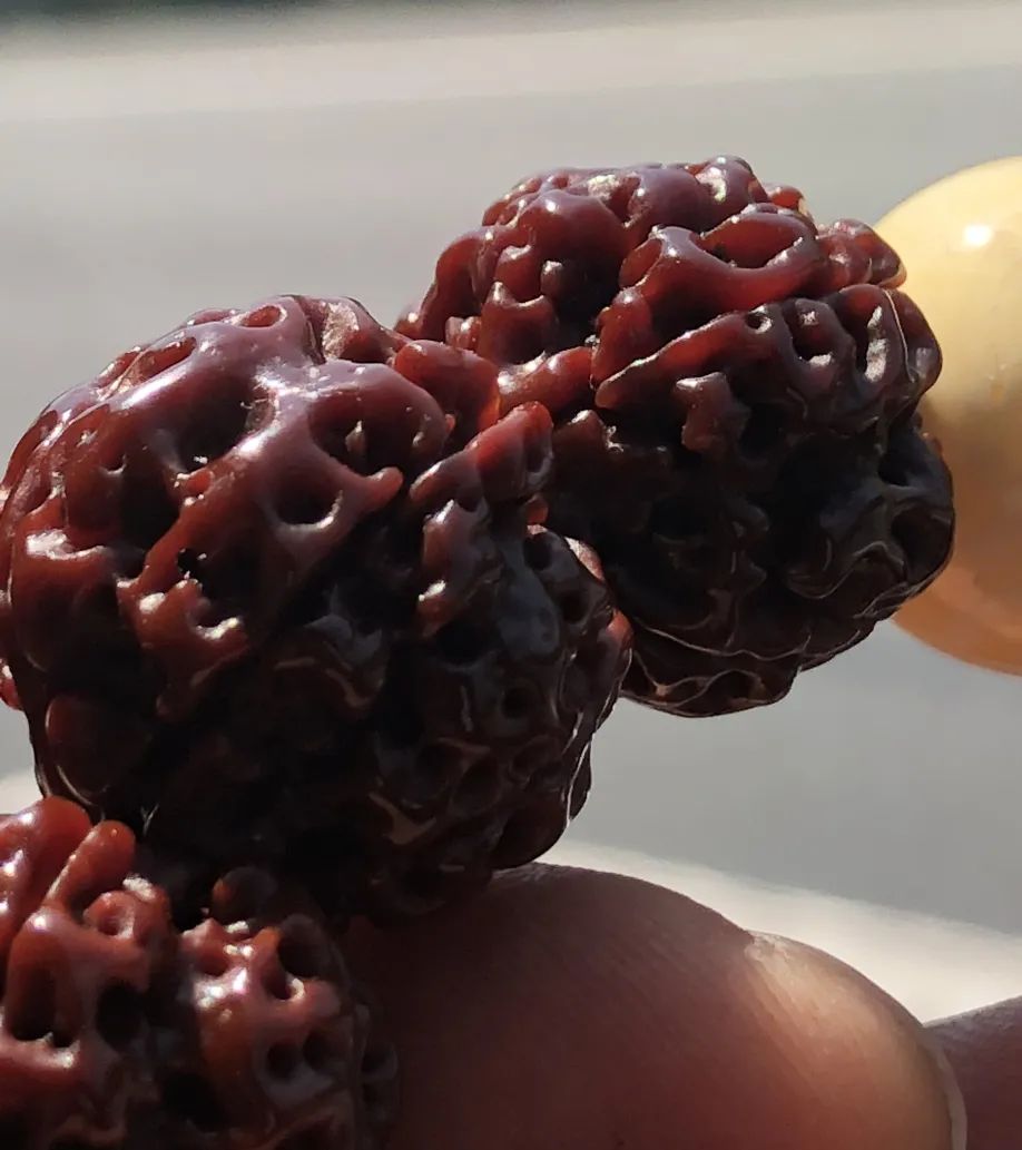 金刚菩提攻略,金刚菩提毕业级手盘