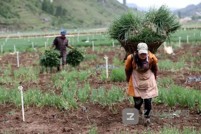 贵州决战脱贫攻坚走进万山,贵州脱贫攻坚视频