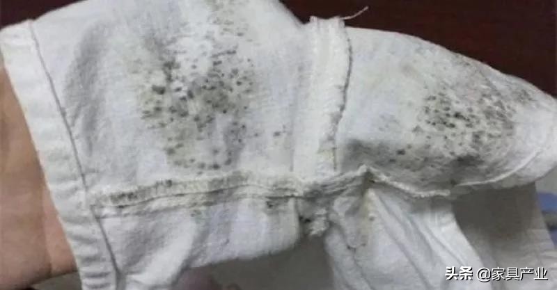 南方人家里一年四季都在发霉？这份除霉秘籍快收好