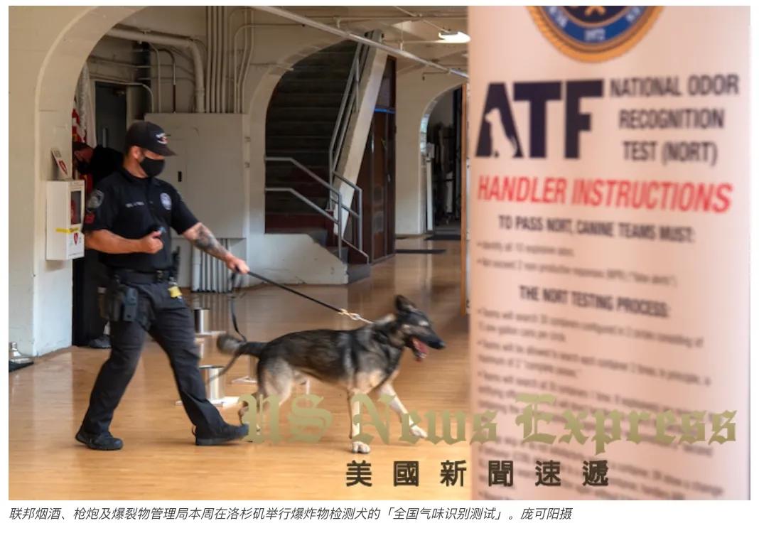 「锐视频」狗鼻子不灵不行美国警犬这样训的