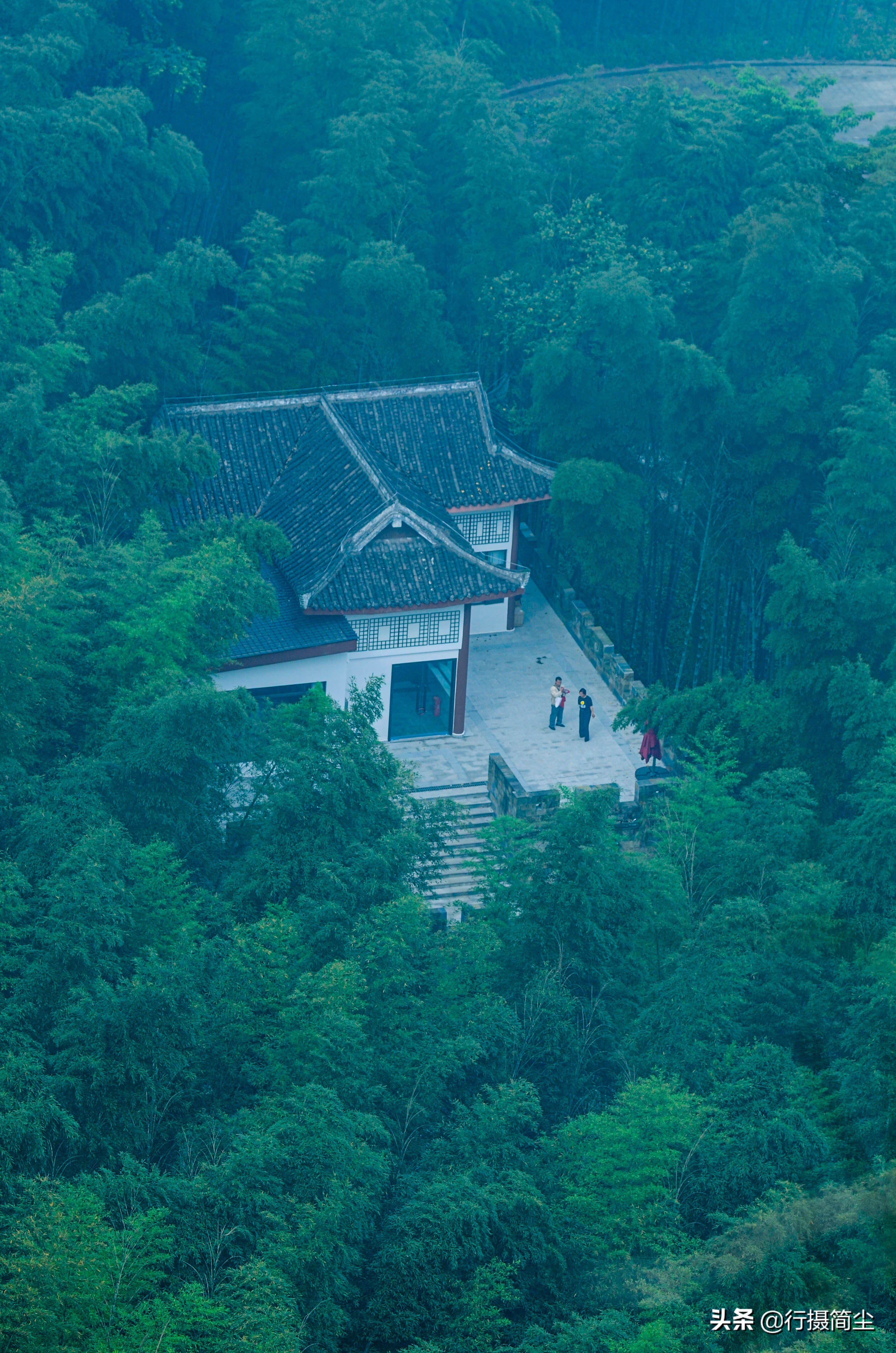 永川茶山竹海，茶山含情，竹海溢笑