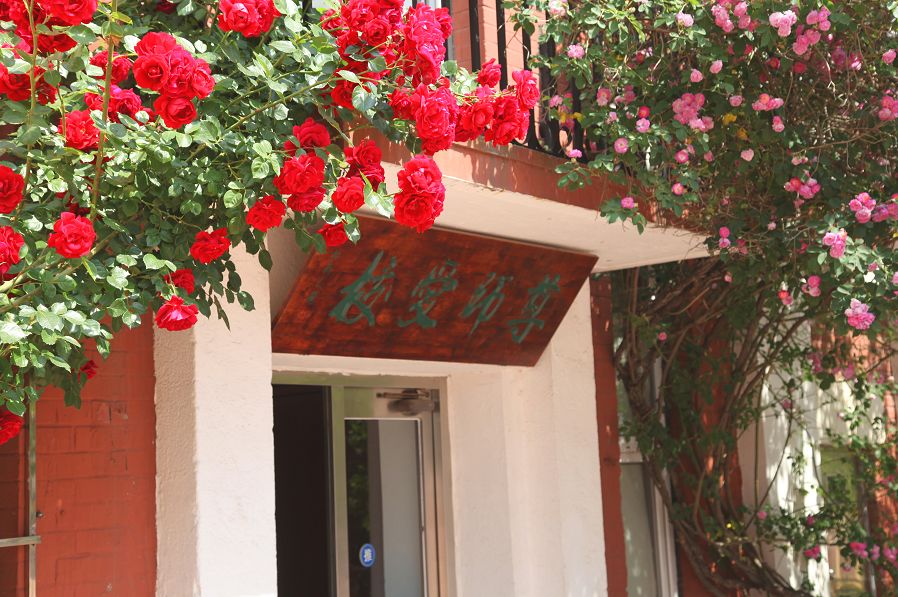 全景看高中|36中：对孩子学习心理全呵护