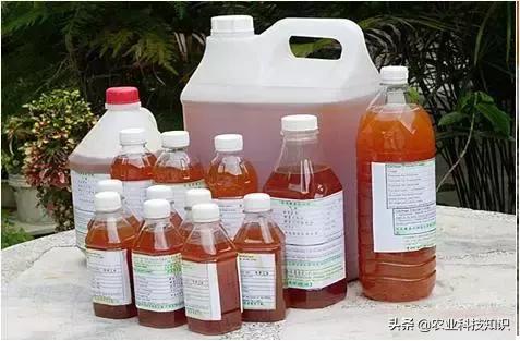 自制环保垃圾酵素危害巨大,厨余环保酵素的制作方法