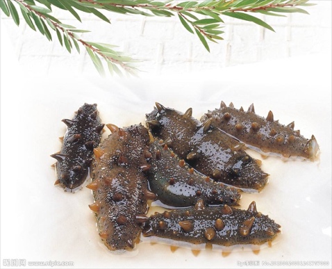 备孕提高小蝌蚪质量吃什么药,怎样才能让小蝌蚪成功的受孕