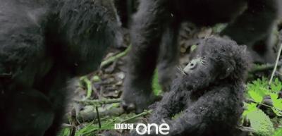 豆瓣9.8分悬疑大片,窥探电视剧豆瓣评分