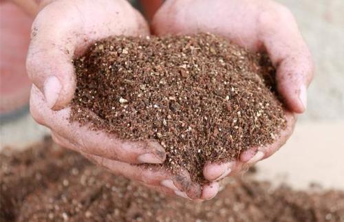 蚯蚓为什么是珍贵的,蚯蚓是如何诞生的