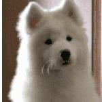 霉菌性阴道炎自己治好小妙招,顽固性霉菌性阴道炎怎么彻底治好